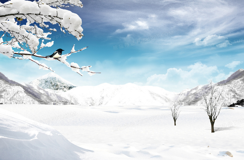 雪天灵感 上海软件设计的冬日美学与实践