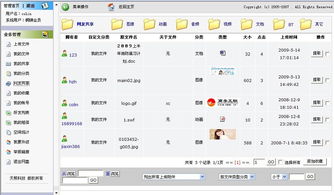 天照科技 上海网站建设与软件设计的一站式解决方案